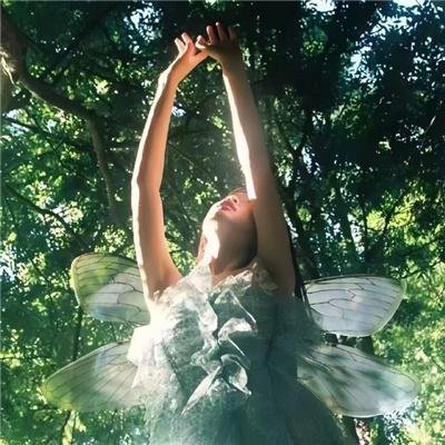 肥妻逆袭＆肥妻逆袭，新大号新星